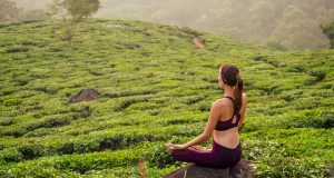 YOGA RETREATS AROUND THE WORLD